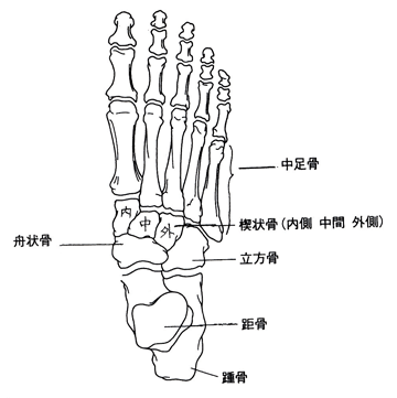 ���̃C���X�g